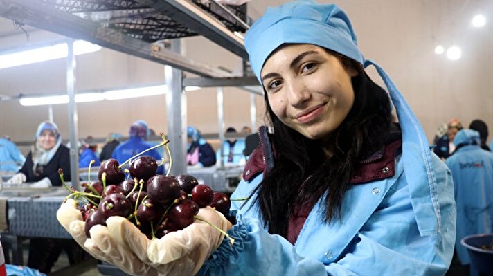 Turkish cherries served abroad in 10 countries
