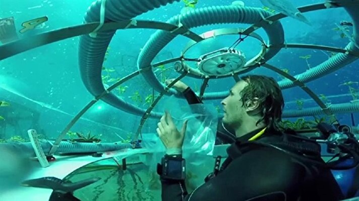 Nemo'nun Bahçesi adlı proje dünya gıda kıtlığını önlemek için atılan önemli adımlardan biri olacak. Proje yöneticisi İtalyan Ocean Reef grubu 2012 yılında yola çıktı. 