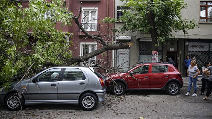Bazı mahalle ve sokaklarda fırtına nedeniyle park halindeki arabaların üstüne devrilen ağaçlar hasara yol açtı. 