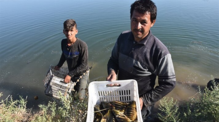 Like other industries in Syria, fish farming in the war-torn country's Ghab Valley region experienced a sharp drop in production as a result of heavy bombardment. 