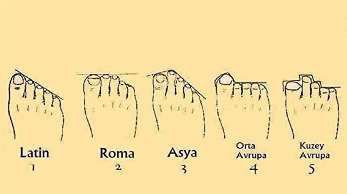 İlk üç parmağın eşit uzunlukta olduğu ayak tipi Roma'ya dayandığı, bu kişilerin düzenli ve herkes tarafından sevilen kişiler olduğu söyleniyor.