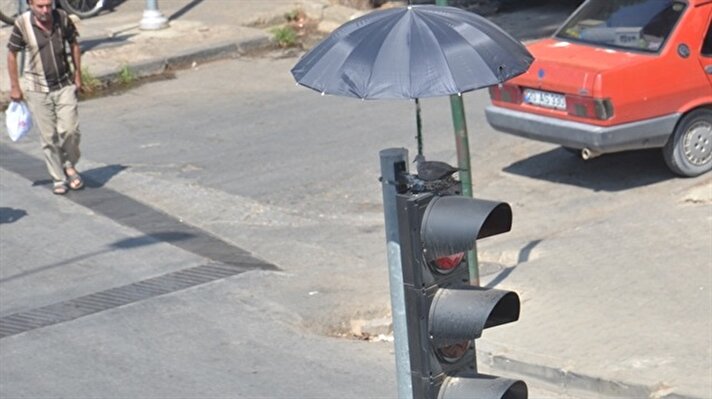 Atatürk Caddesi'ndeki trafik ışığı direğine bir anne kumru yuva yaptı. Kumrunun sıcaktan etkilenmemesi için bir hayvansever direğe şemsiye monte etti.


