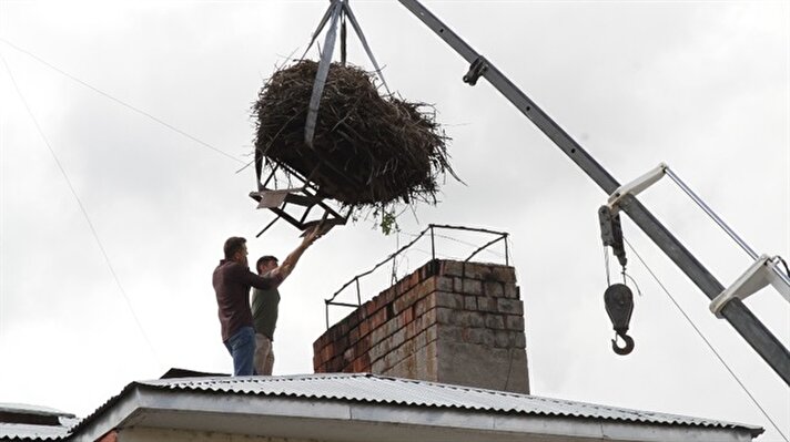 Ardahan kent merkezinde bulunan, 1 no'lu sağlık merkezinin çatısının köşesinde bulunan binanın yıkılması nedeniyle yuvanın taşınmasına karar verildi. 