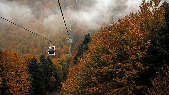 Türkiye'nin kayak ve kış turizminin önemli merkezlerinden Uludağ'da, beyaz örtüye alışkın olan ziyaretçiler, bugünlerde teleferikle sarı ve yeşilin tonları arasında yolculuk edebiliyor.

