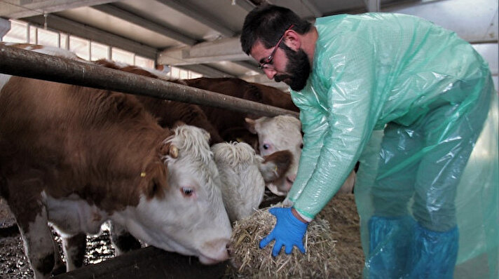 Elazığ'ın Kovancılar ilçesinde yaşayan 25 yaşındaki Hamza Çelik, 2013 yılında 'Süt İnekçiliği' tesisi kurmak için Tarım ve Kırsal Kalkınmayı Destekleme Kurumu'na (TKDK) başvurdu. Başvurusu kabul edilen Çelik, aldığı yüzde 65 hibe desteğiyle 2015 yılında 40 dönüm arazi üzerine 2 milyon TL'lik tesis kurdu. 