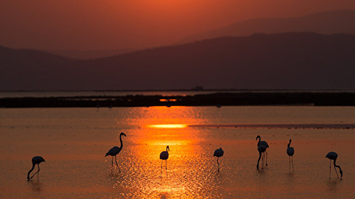 Mesmerizing sunset in Izmir bird paradise