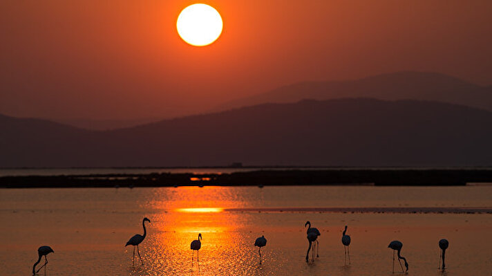 Gün geceye dönerken deltanın sakinleri, güneşin kızıllığında seyrine doyumsuz güzel görüntüler oluşturuyor.