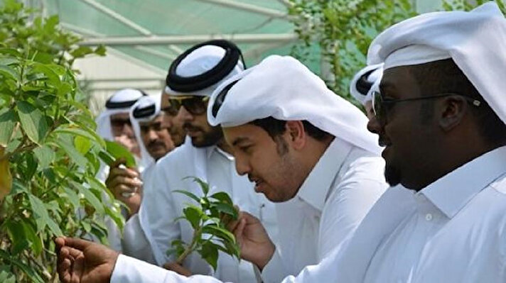 Katar Kurumu'nun girişimiyle projelendirilen bahçede 6 bin 825 adet nebatatın yer aldığı kaydedildi.