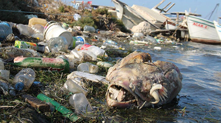 Ekosistemi Koruma ve Doğa Sevenler Derneği (EKODOSD) üyeleri, Taşburun Limanı'nın çöplüğe dönüştüğü bilgisi üzerine bölgeye gitti. Yapılan incelemede, Büyük Menderes Deltası'nın güneyindeki limanın, bazı duyarsız balıkçılar tarafından kirletildiği görüldü. 
