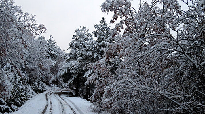 Kış mevsimiyle birlikte Türkiye'nin dört bir yanında yağan kar ile ortaya birbirinden güzel görüntüler çıkmaya başladı. Kaz Dağları da kar güzelliklerinin yaşandığı yerlere eklendi. 
