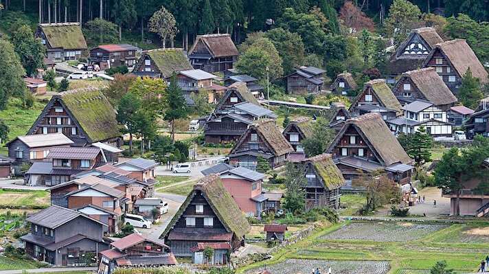 Japonya'nın giderek azalan nüfusu nedeniyle milyonlarca ev sahipsiz konuma düşüyor.  