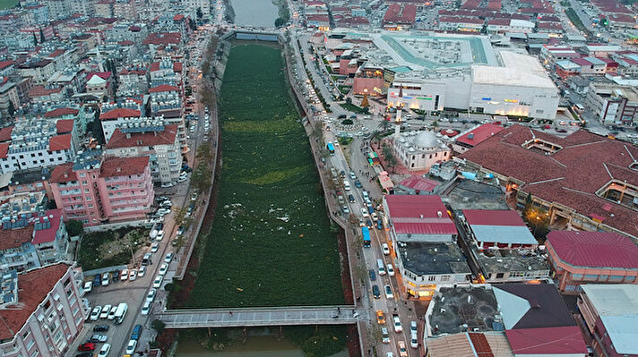 Hatay Büyükşehir Belediyesi temizlik ekipleri nehir yüzeyini istila eden su sümbülleri için çalışması başlattı.

