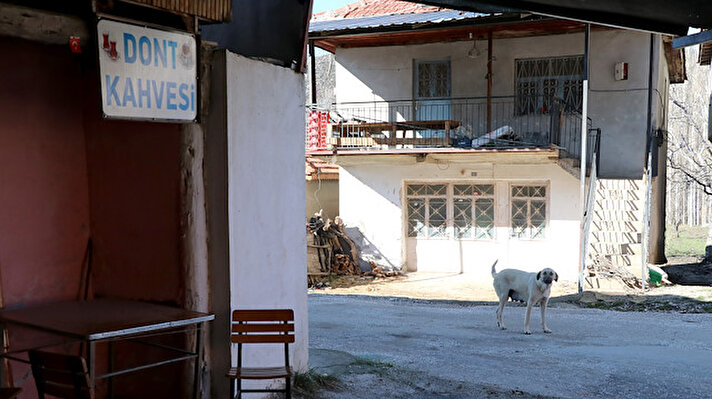 Dont, Muğla'nın 2014'te büyükşehir olmasıyla kurulan Seydikemer'in 65 mahallesinden biri. Kışın fazla insanın bulunmadığı, sıcaklarda yayla olarak da kullanılan mahallenin nüfusu yaz aylarında 2 bini geçiyor.

