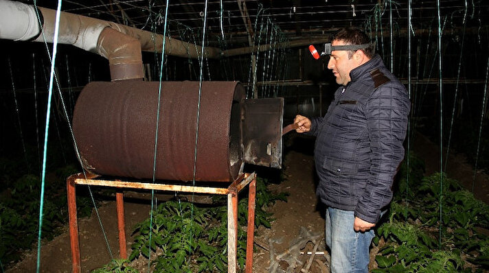 Fethiye'de hava sıcaklığının akşam saatlerinde 2 dereceye düşmesi, örtü altı üreticisini olumsuz etkiledi. Alarma geçen üreticiler, hava kararınca sera içinde nöbet tutmaya başladı. Seranın girişine astıkları termometrelerde sıcaklığın 2 dereceye düştüğünü gören üreticiler, odun attıkları sobaları ateşleyerek sıcaklığı korumaya çalıştı. 
