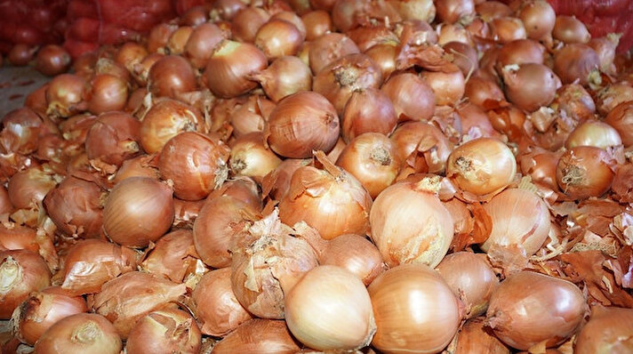 Ege Bölgesi'nin en büyük sebze ve meyve hallerinden biri olan Acarlar Toptancı Hali'nde, soğanda görülen küf hastalığının ardından satışlar azaldı. 