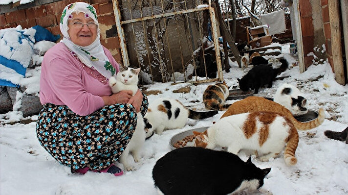 Elazığ'da, sokak kedilerine evini açan 61 yaşındaki Nuriye Yücesoy, yazın dışarıda beslediği kedileri kışın evine alıyor. 5 yıl önce 3 yavrulu bir kediyi bulmasıyla evini kedilere açan Nuriye teyze, şimdi ise 58 kediye birden bakıyor.