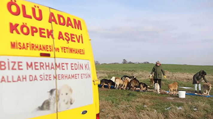 İstanbul'da bir holdingin ortağı ve aynı zamanda yönetim kurulu başkan yardımcısı olan ve yaklaşık 12 yıldır sokak hayvanlarını besleyen Hekim'in karşısına bir gün açlıktan ayakta zor duran bir köpek çıktı.

