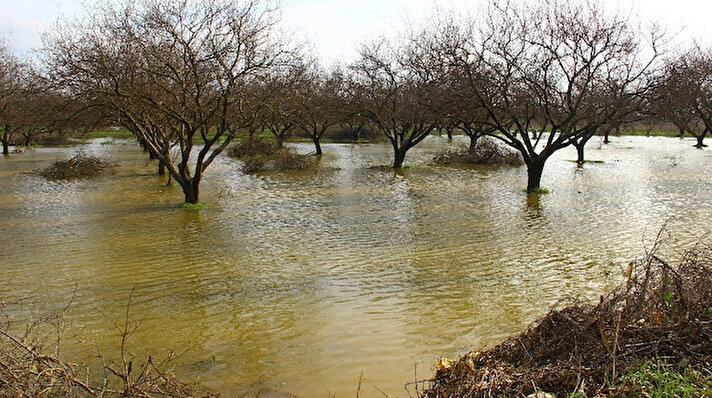Nehrin taşması sonucu Koçarlı-Germencik yolu ulaşıma kapatıldı. Aydın'da son günlerde etkili olan yağışların ardından Büyük Menderes Nehri yatağına sığmayıp taştı. 
