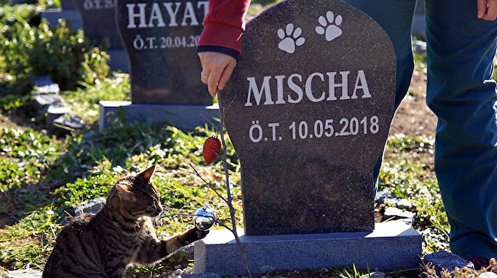 Samsun Büyükşehir Belediyesinin 4 yıl önce evcil hayvanlar için oluşturduğu 15 dönümlük mezarlığın büyük bölümü doldu.