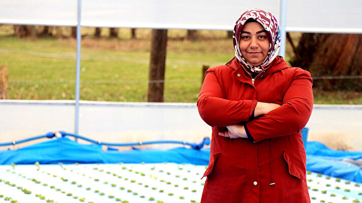 Burcu, 2009'da gelin geldiği merkeze bağlı Pınarlar köyünde topraksız tarıma merak sararak marul yetiştirmek üzere yola çıktı.

