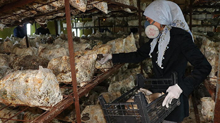 Kırsal Yenicekent Mahallesi'nde yaşayan evli ve 2 çocuk annesi Neşe Ünlü, 2 yıl önce kendi ayakları üzerinde durmak amacıyla iş kurmak istedi.