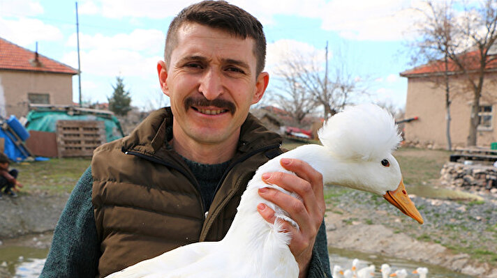Aksaray'ın İncesu köyünde, 2014 yılında satın aldığı tavukların yanında verilen 7 kazı çoğaltarak işini geliştiren Halis Katman, geçen yıl Irak'a 100 bin dolarlık kaz ihracatı gerçekleştirdi.