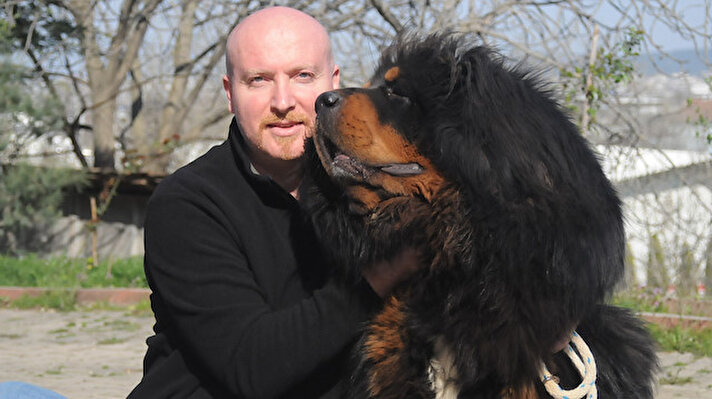 Safkan ırk köpek yetiştirmek için girişimlerde bulunan Evsin Şentürk, Çin'den Tibet Mastifi satın aldı. 