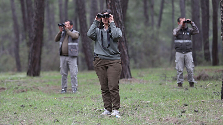 Antalya Hayvanat Bahçesi'nden kaçan kurdun yakalanması için ormanlık alanlardaki fotokapan sayısı artırıldı.