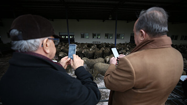 Merinos Yetiştirme Çiftliği olarak 1943 yılında Bandırma'da kurulan enstitü, zaman içinde birkaç kez isim değiştirmesinin ardından 2015 yılından beri Koyunculuk Araştırma Enstitüsü adıyla faaliyetlerine devam ediyor.