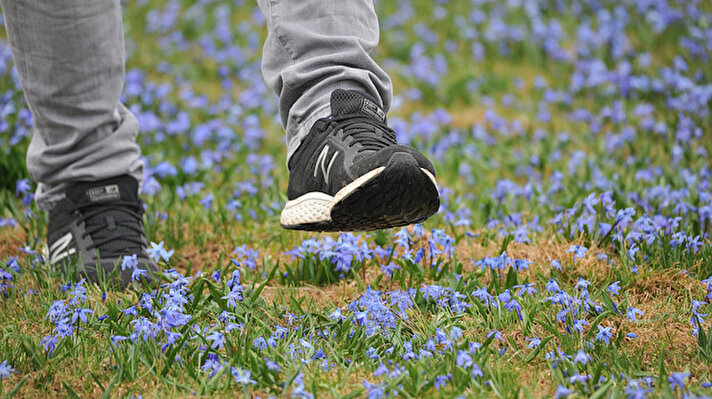 Tonya'ya 9 kilometre mesafede, yaklaşık 1300 metre yükseklikteki Kadıralak Yaylası'nın ilkbaharla 'mavi yıldız' çiçeklerinin açmasıyla birlikte güzel görüntüler oluşturdu. 