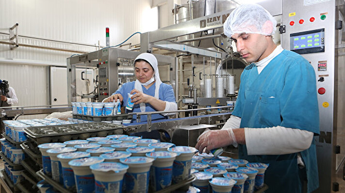 Çorum'da küçük bir imalathanede yoğurt ve peynir üretirken Tarım ve Kırsal Kalkınmayı Destekleme Kurumundan (TKDK) hibe desteği alarak 2 milyon 500 bin liralık yatırım yapan Halil Demir, kurduğu modern tesiste ürettiği ürünleri Türkiye'nin dört bir yanına gönderiyor.