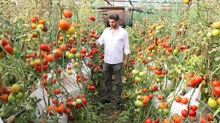 Ankara’da özel bir firmada elektronik mühendisliği yapan 44 yaşındaki Ergin İnal, bir süre önce tarıma merak sararak bir çok makale okumaya ve yurt dışında yapılan üretimlerin belgesellerini izlemeye başladı. 