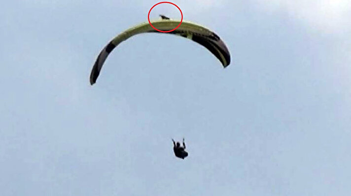 Burdur'da 2011 yılından bu yana yamaç paraşütü sporu yapan iş insanı Uğur Sayın, 380 rakımlı Avşar Tepesi'nden atlayış yaptı. Aynı tepede yuvası bulunan şahin, atlayışından kısa süre sonra Sayın'a saldırdı. 