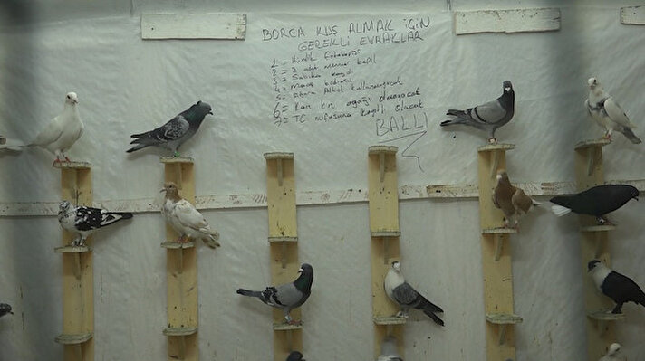 Kentte kuş tutkunlarının buluştuğu adres olarak bulunan Kuşçu Pazarı'nda işyeri bulunan Mustafa Ballı, zaman zaman güvercinleri açık artırma usulü ihaleye çıkarıyor. 