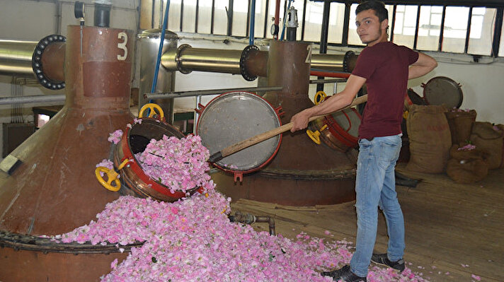 Afyonkarahisar ve Burdur'un dağ köylerinde ekolojik tarımla üretilen güllerden elde edilen gül yağı, başta Çin olmak üzere Uzak Doğu pazarına açılıyor.