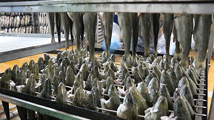 Girişimci babası Mustafa Özpek'in 1974 yılında başladığı alabalık serüvenini kardeşi Osman Özpek ile devam ettiren Yasin Özpek, fabrikada işlediği tütsülenmiş balıkları özellikle Avrupa ülkelerine gönderiyor.

