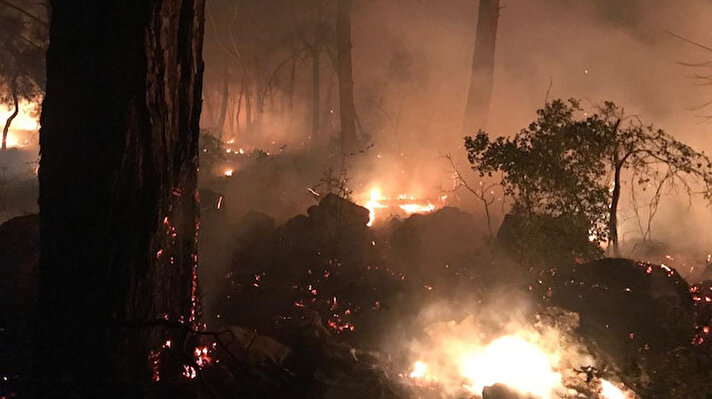 Tarım ve Orman Bakanlığından yapılan açıklamaya göre, Muğla'nın Dalaman ilçesi yakınlarında, bugün saat 15.10'da orman yangını çıktı.