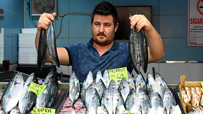 Av yasağının 1 Eylül'de bitmesiyle Çanakkale'de ‘Vira bismillah’ diyerek, denize açılan balıkçılar, en fazla sardalya balığı ile kıyıya döndü. 