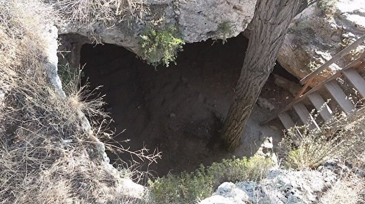 Sivas'ın Divriği ilçesinde bulunan Divriği kalesi tarihi özellikleri kadar girişindeki mağarada büyüyen ağaçla da dikkat çekiyor. 