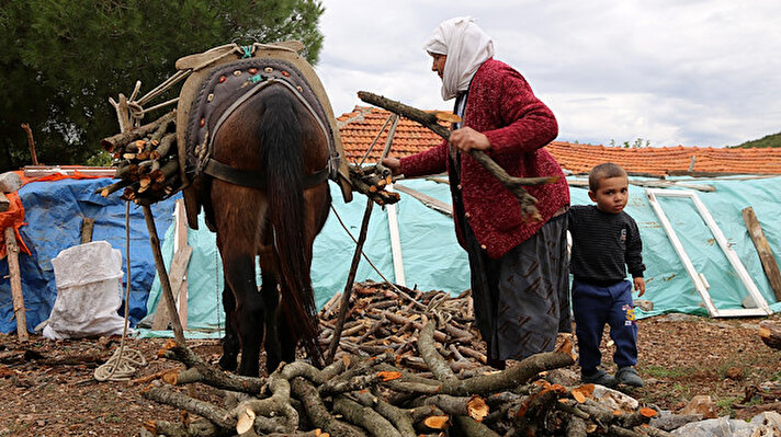 Muğla'nın Menteşe ilçesinde yaşayan Fatma Namalan, dağdan topladıktan sonra "can yoldaşım" dediği Ceylan isimli katırına yüklediği odunları satarak geçimini sağlıyor. 