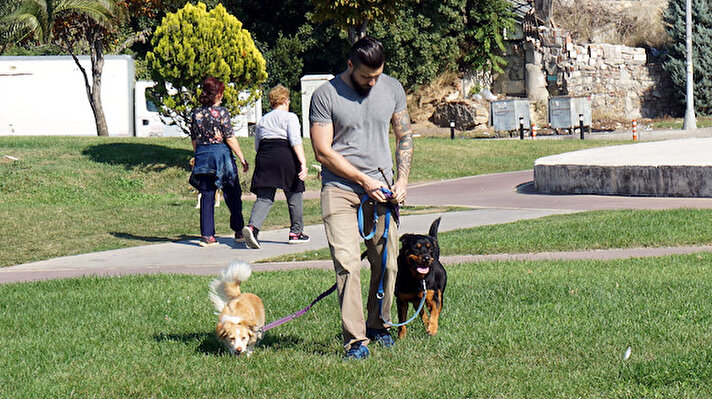 Köpek edinmek, onları beslemek kolay olsa da sorumlulukları büyük. Köpeklerin dışarıda vakit geçirmeleri, yürüyerek, koşup oynayarak enerji harcamaları şart.