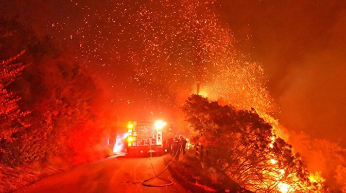 ABD'nin Kaliforniya eyaletinde bulunan Los Padres Ulusal Ormanı'nda Pazartesi günü başlayan yangın devam ediyor. 