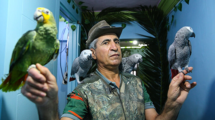 Ülkesinden ayrılarak 2011 yılında Türkiye’ye yerleşen Ürdünlü 63 yaşındaki Akif Atoum, bir süre güvercin ve muhabbet kuşu yetiştirdikten sonra kendini papağan eğitimine adadı.
