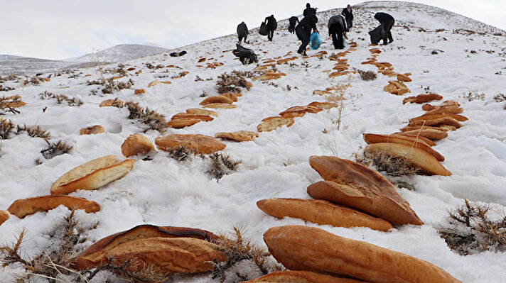 Erzurum esnafı, son günlerde yaşanan deprem, terör, çığ ve uçak kazası gibi olayların bir daha meydana gelmemesi için Pir Ali Baba Türbesi'nin bulunduğu dağlık alana yaban hayvanlar için 2001 ekmek bıraktı. 