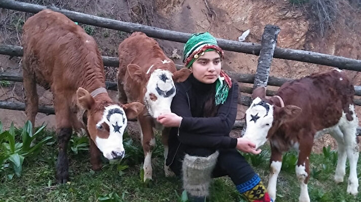 Yeni doğum yapmış keçiyi sırt çantasına, yavrusunu ise köpeğinin sırtına bağladığı okul çantasına koyarak ahıra götürdüğü fotoğrafıyla tüm Türkiye'nin gönlünde taht kuran, 15 yaşındaki Hamdu Sena Bilgin, Cumhurbaşkanı Recep Tayyip Erdoğan öncülüğünde başlatılan "Milli Dayanışma Kampanyası"na destek için 3 buzağı bağışladı.

