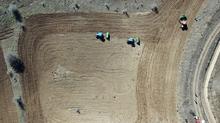 Son yıllarda lavanta, kara buğday, kuru fasulye ve nohuttan sonra yalancı safran, Amerikan safranı ve boyacı safranı gibi isimlerle de bilinen, tek yıllık, geniş yapraklı, sarı, kırmızı, turuncu, beyaz ve krem renklerinde çiçeklere sahip, dikenli ve dikensiz tipleri olan, kurağa dayanıklı ve ortalama yağ oranı yüzde 30-50 arasında değişebilen bir yağ bitkisi olan aspir Gümüşhane’nin yeni tarımsal ürünü olacak.