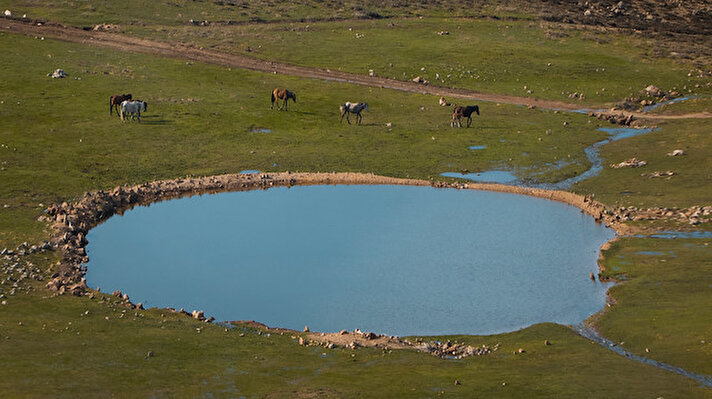 İlçeye ismini veren 2300 rakımlı Emir Dağları'nda yaşayan yılkı atları, fotoğraf ve doğa tutkunlarının ilgisini çekiyor.

