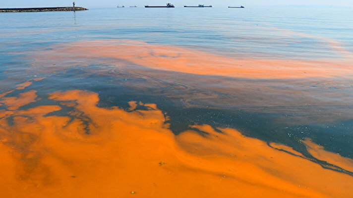 Tekirdağ'ın merkez Süleymanpaşa ilçesinin sahillerinin bazı kesimlerinde denizin rengi turuncuya dönüştü.