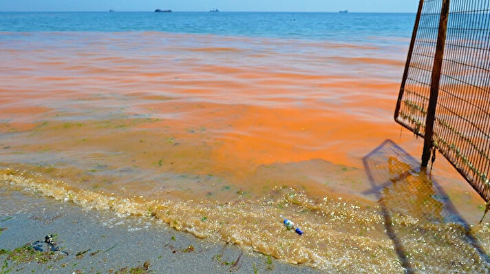 Marmara Denizine kıyısı bulunan Tekirdağ'ın Süleymanpaşa ilçesi sahili turuncu renge boyandı. Denizdeki turuncu renk istilası merak konusu olurken, her yıl bu tarihlerde denizde planktonların çoğalması nedeniyle turuncu rengin oluştuğu biliniyor. Aynı bölgede 4 gün öncede yoğun şekilde turuncu renk meydana gelmişti.
