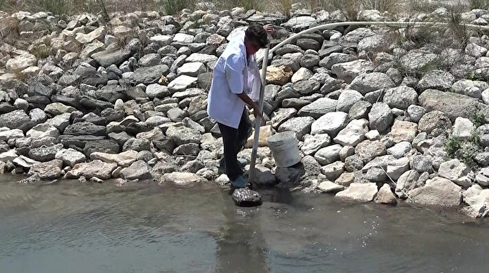 Denizli'nin Sarayköy ilçesi Tekke Mahallesi'ndeki sıcak su kaynaklarının bulunduğu yerden çıkarılan termal çamur adeta dünyaya şifa dağıtıyor.